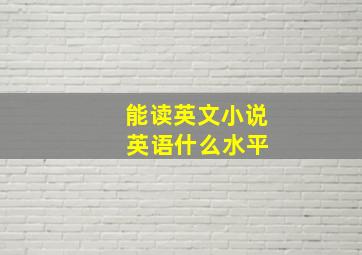 能读英文小说 英语什么水平